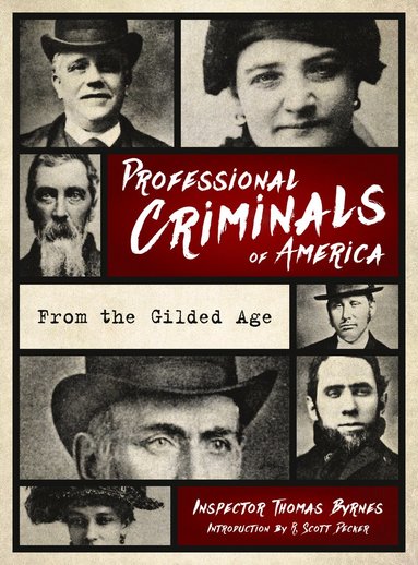 bokomslag Professional Criminals of America