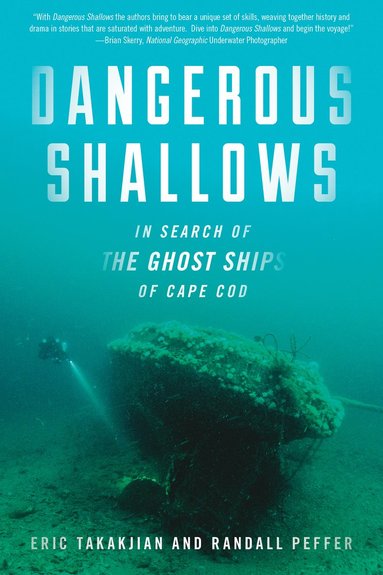 bokomslag Dangerous Shallows