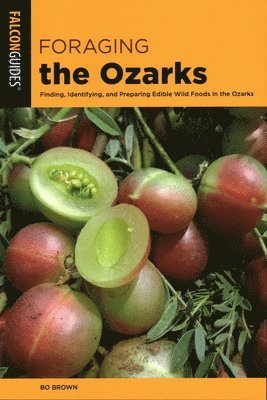 Foraging the Ozarks 1