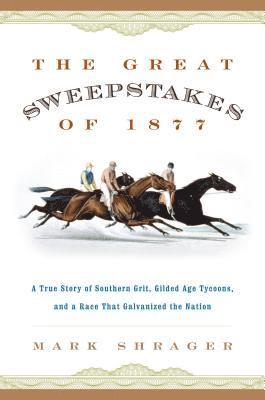 bokomslag The Great Sweepstakes of 1877