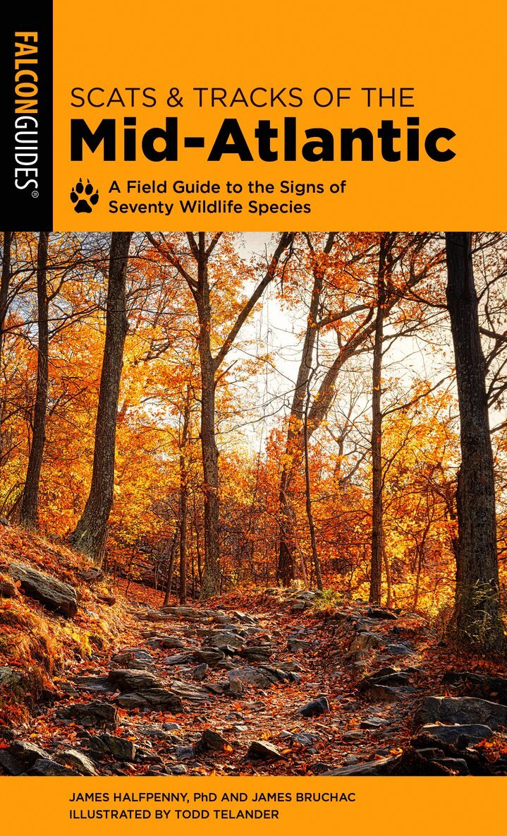 Scats and Tracks of the Mid-Atlantic