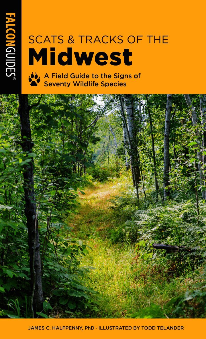 Scats and Tracks of the Midwest