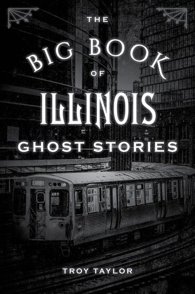 Troy Taylor - Big Book of Illinois Ghost Stories, Häftad