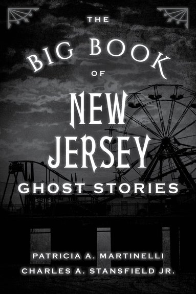 Patricia A. Martinelli, Jr. Stansfield, Charles A. - Big Book of New Jersey Ghost Stories, Häftad