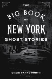 bokomslag The Big Book of New York Ghost Stories