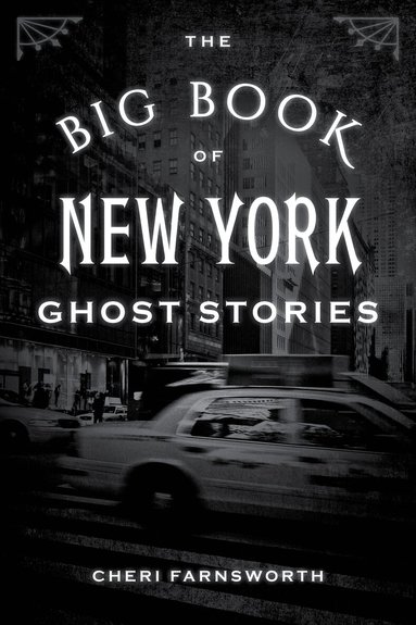 Cheri Farnsworth - Big Book of New York Ghost Stories, Häftad