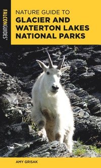 bokomslag Nature Guide to Glacier and Waterton Lakes National Parks