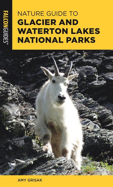 bokomslag Nature Guide to Glacier and Waterton Lakes National Parks