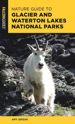 Nature Guide to Glacier and Waterton Lakes National Parks 1