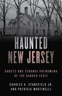 bokomslag Haunted New Jersey