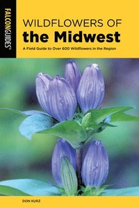 bokomslag Wildflowers of the Midwest