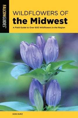 Wildflowers of the Midwest 1