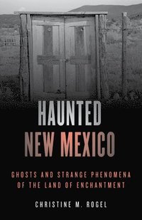 bokomslag Haunted New Mexico