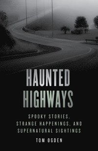 bokomslag Haunted Highways