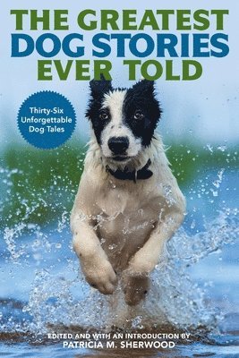 Greatest Dog Stories Ever Told