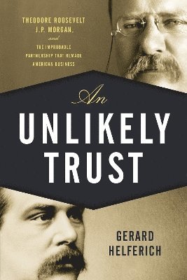 Gerard Helferich - Unlikely Trust, Häftad
