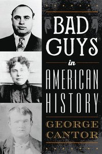 bokomslag Bad Guys in American History