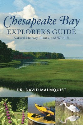 bokomslag Chesapeake Bay Explorer's Guide