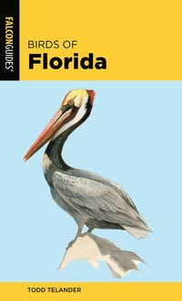 bokomslag Birds of Florida