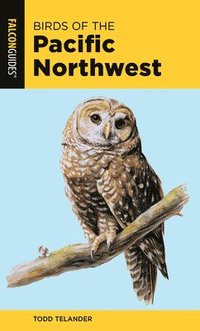 bokomslag Birds of the Pacific Northwest
