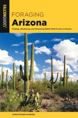 bokomslag Foraging Arizona