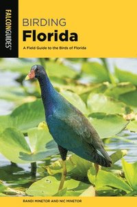 bokomslag Birding Florida