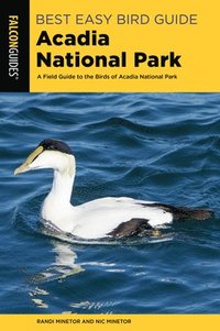 bokomslag Best Easy Bird Guide Acadia National Park