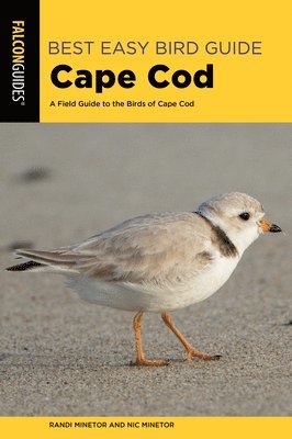 Best Easy Bird Guide Cape Cod 1