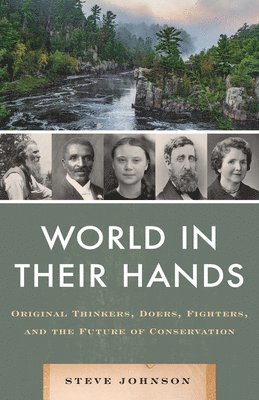 Steve Johnson - World in their Hands, Inbunden