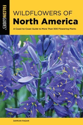 Wildflowers of North America 1