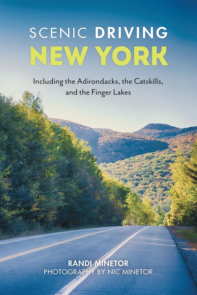 Scenic Driving New York 1