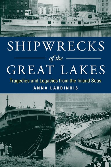 bokomslag Shipwrecks of the Great Lakes