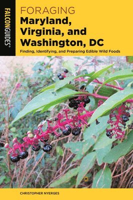 Foraging Maryland, Virginia, and Washington, DC 1