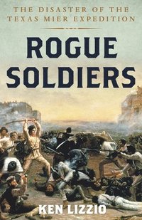 bokomslag Rogue Soldiers