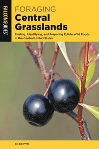 bokomslag Foraging Central Grasslands