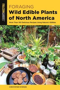 bokomslag Foraging Wild Edible Plants of North America