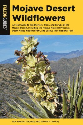 bokomslag Mojave Desert Wildflowers