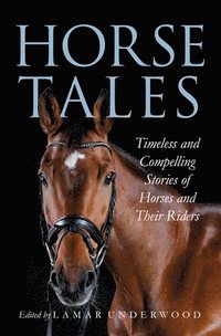 bokomslag Horse Tales