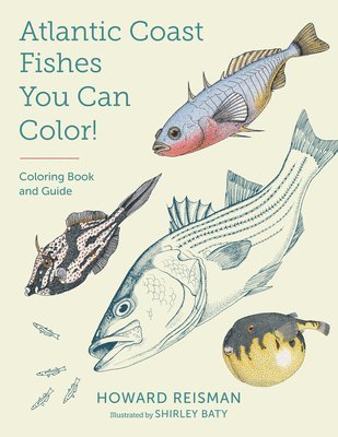 bokomslag Atlantic Coast Fishes You Can Color!