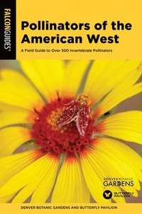bokomslag Pollinators of the American West
