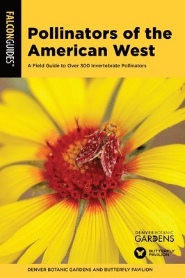 bokomslag Pollinators of the American West