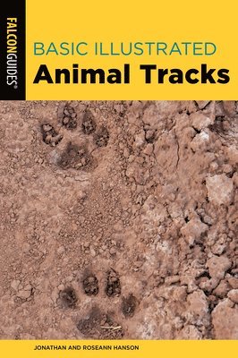 bokomslag Basic Illustrated Animal Tracks