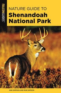 bokomslag Nature Guide to Shenandoah National Park