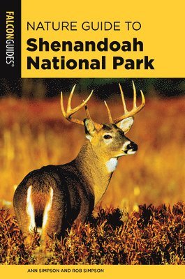 Nature Guide to Shenandoah National Park