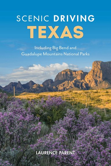 Laurence Parent - Scenic Driving Texas, Häftad