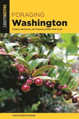 Foraging Washington 1