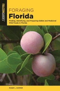 bokomslag Foraging Florida