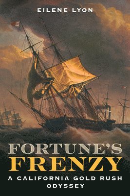 bokomslag Fortune's Frenzy