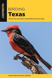 bokomslag Birding Texas