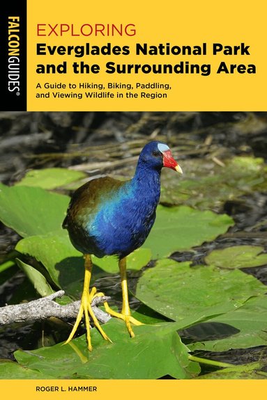 Roger L. Hammer - Exploring Everglades National Park and the Surrounding Area, Häftad